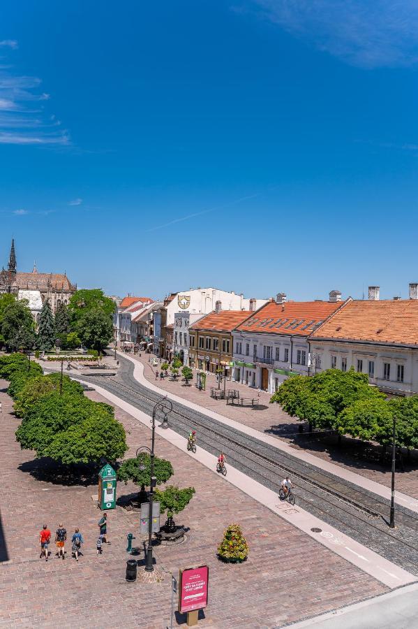 Premium Apt Kosice Center 3 Room 150M2 Hlavna Ulica Экстерьер фото